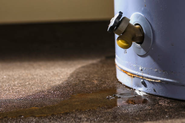 Best Flooded house restoration  in Marco Island, FL