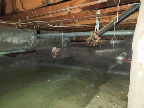 Best Emergency water damage restoration  in Marco Island, FL