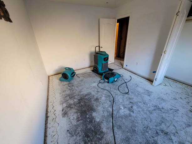Best Water damage cleanup near me  in Marco Island, FL