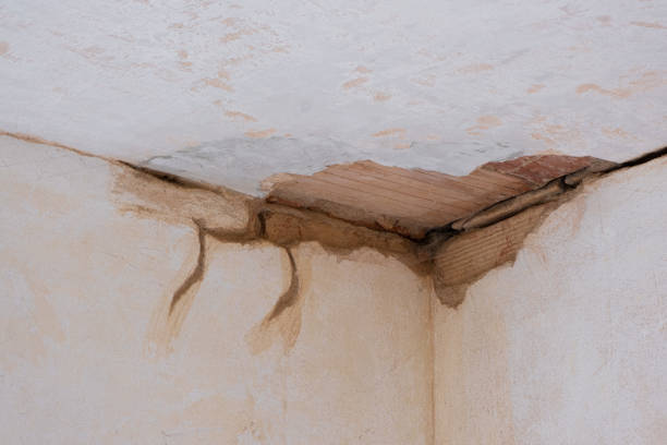 Carpet water damage restoration in Marco Island, FL