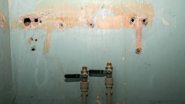 Best Residential water damage restoration  in Marco Island, FL